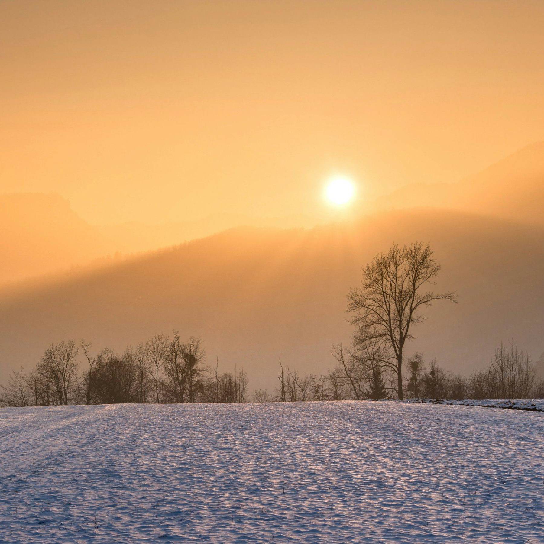 Tief stehende Wintersonne über einem verschneiten Feld, goldenes Licht im Dunst