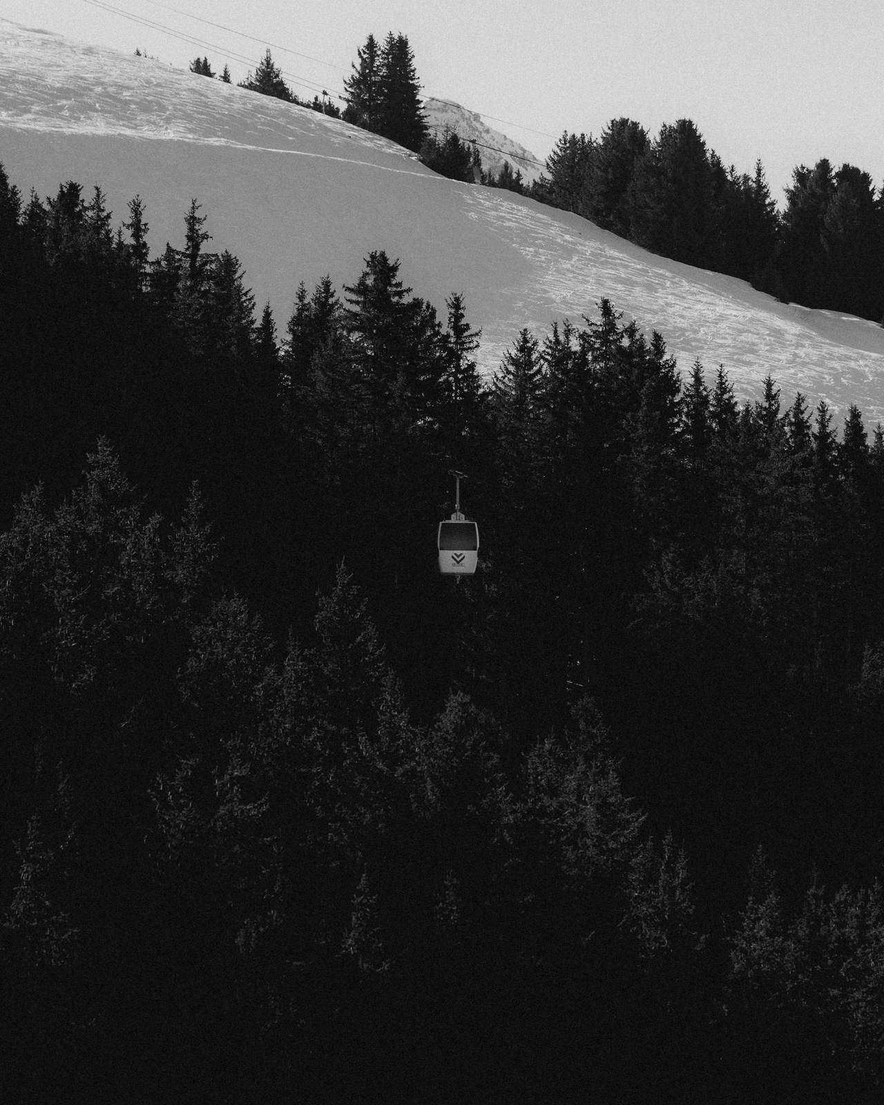 Eine Gondel über dunklem Wald