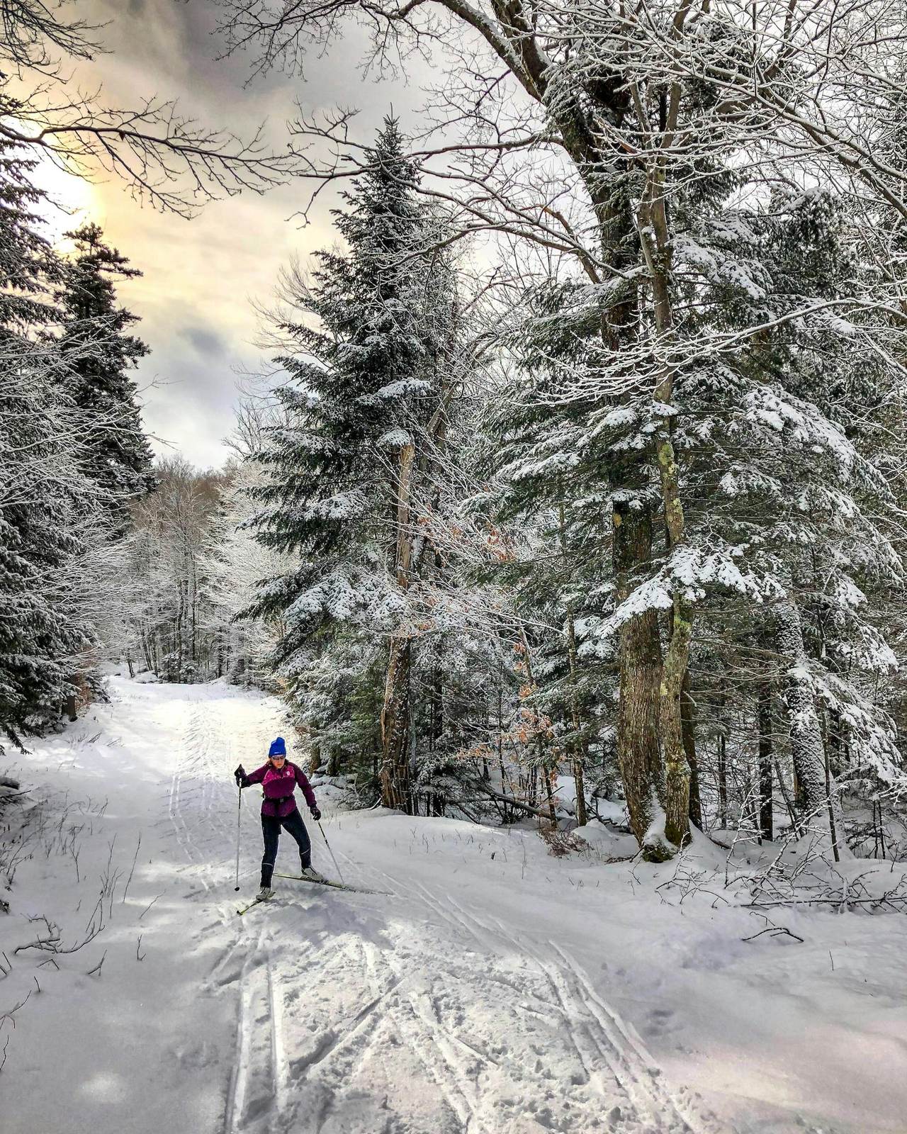 Loipe durch verschneiten Wald